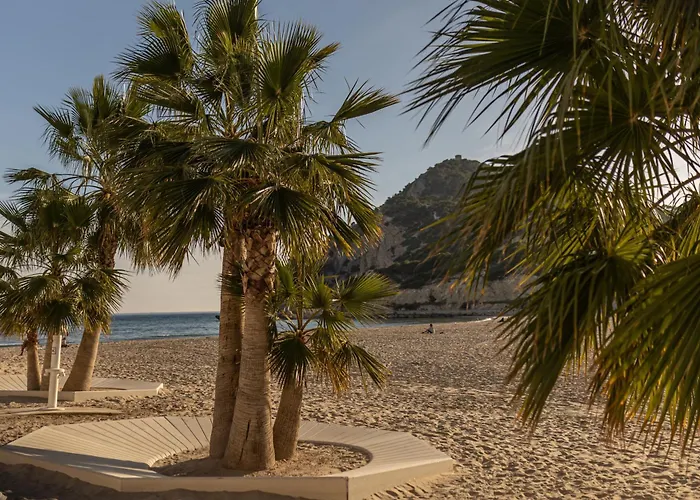 Luxury, Newly Renovated 1-bedroom By The Apartament Benidorm